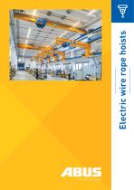 Electric wire rope hoists