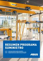 Resumen programa suministro