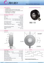 Datasheet RH951 (EN)