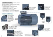 MOTORES ASÍNCRONOS TRIFÁSICOS  SÉRIE DELPHI - 6
