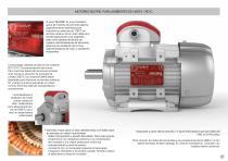 MOTORES ASÍNCRONOS TRIFÁSICOS  SÉRIE DELPHI - 7