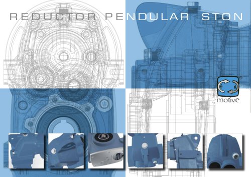 reductor pendular STON