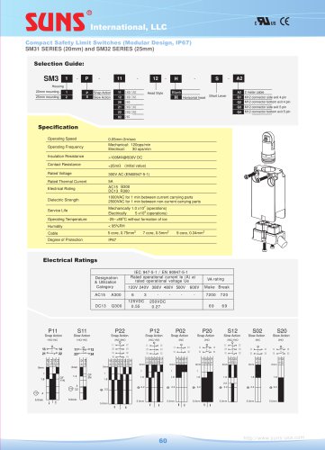 SM31 Safety Limit Switches