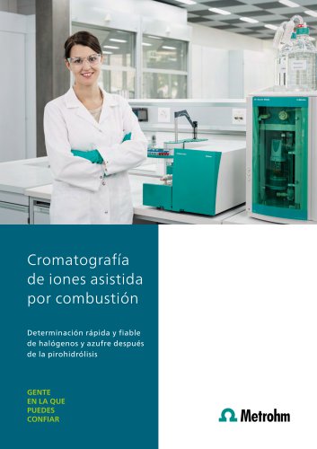 Combustion IC TEI