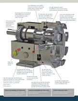 SERIE ZP BOMBAS DE DESPLAZAMIENTO POSITIVO - 3