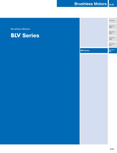 BLV Series Brushless DC Motors