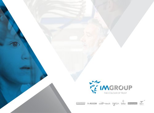 IM GROUP Corp. Profile_ES