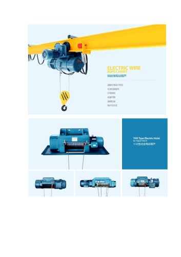 Metallurgy hoists