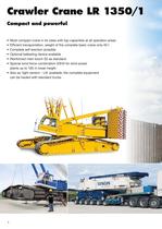 Crawler and lattice boom cranes - 6
