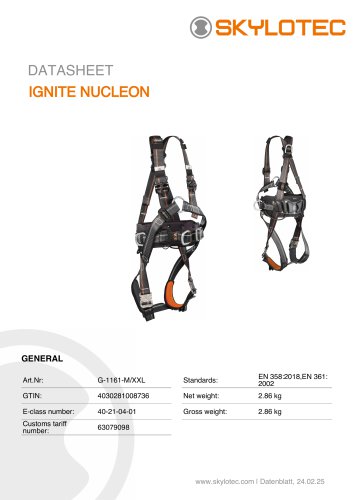 IGNITE NUCLEON
