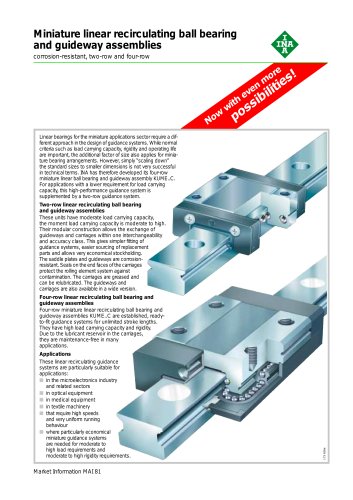 Miniature linear recirculating ball bearing and guideway assemblies (MAI 81)