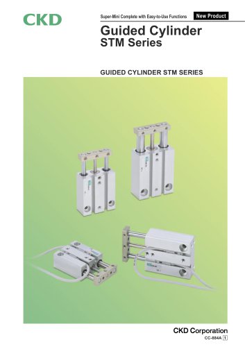 Guided cylinder STM