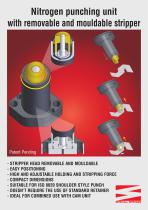 Nitrogen punching unitwith removable and mouldable stripper