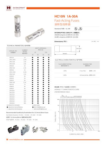 Hollyland HC10N 10X38mm Cylinder Fuses