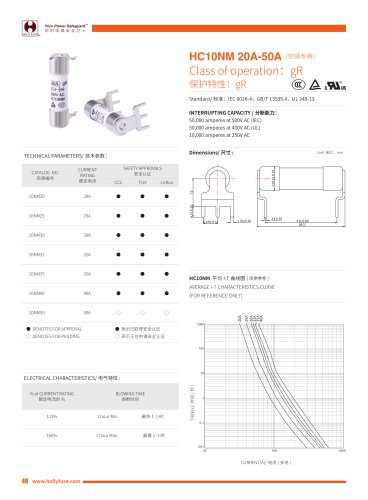 Hollyland HC10NM 10X38mm Cylinder Fuses