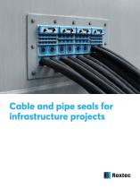 Cable and pipe seals for infrastructure projects
