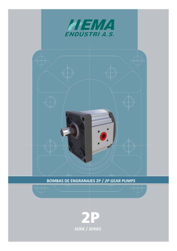 2P Series Gear Pumps