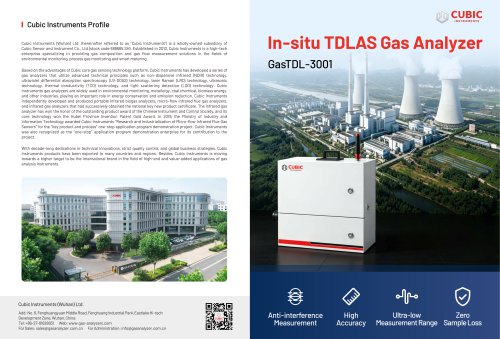 In-situ TDLAS Gas Analyzer GasTDL-3001