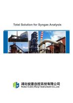 Ruiyi Total Solution for Syngas Analysis