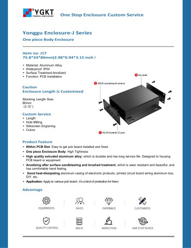 YONGU- Electronic Instrument -J17