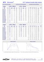 A.C. 3-phase Inverter duty motors MTES - 13