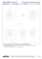 A.C. 3-phase Inverter duty motors MTES - 16