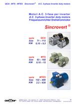 A.C. 3-phase Inverter duty motors MTES - 1