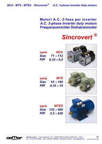 A.C. 3-phase Inverter duty motors MTES