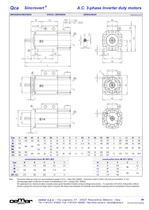 A.C. 3-phase Inverter duty motors MTES - 6