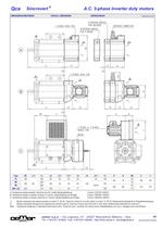 A.C. 3-phase Inverter duty motors MTES - 7