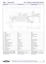 A.C. 3-phase Inverter duty motors MTES - 9