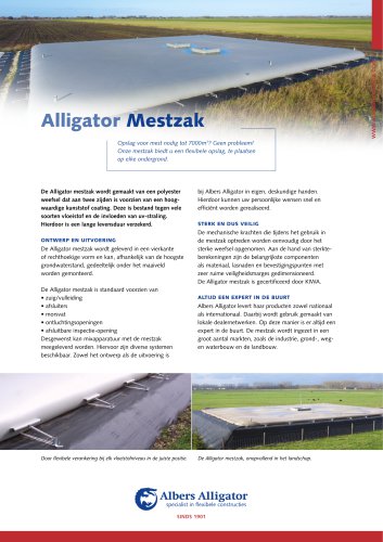 Alligator Mestzak