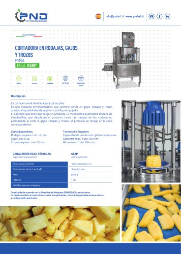 SS8P - Ficha T&eacute;cnica