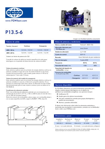 1P13.5-6 - 2.5 - 16.5 kVA 3 Phase Diesel Generator Set