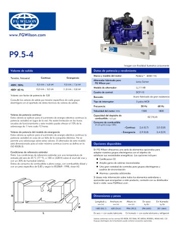 9.5-4 Diesel Generator Set