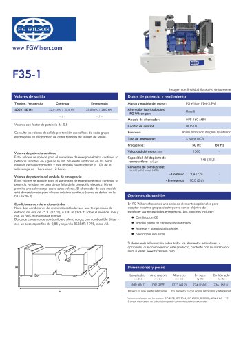 F-35-1 (35 kVA Open Generator Set)