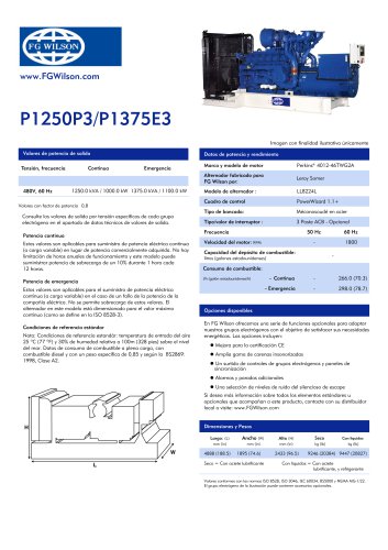 P1250P3-P1375E3 (60Hz) Open Generator Set