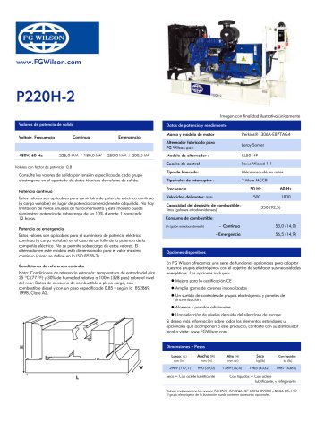 P220H-2 - 220 kVA Open generator set