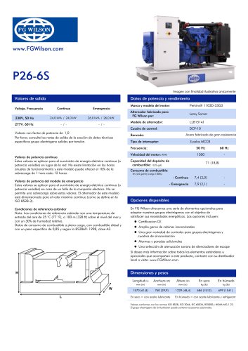 P26-6S (26 kVA Three Phase EUIIIa Compliant Open Generator Set)