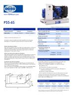 P55-6S 55 kVA Single Phase Open Generating Set - 1