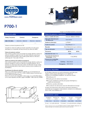 P700-1 Open Generator Set (700 kVA)