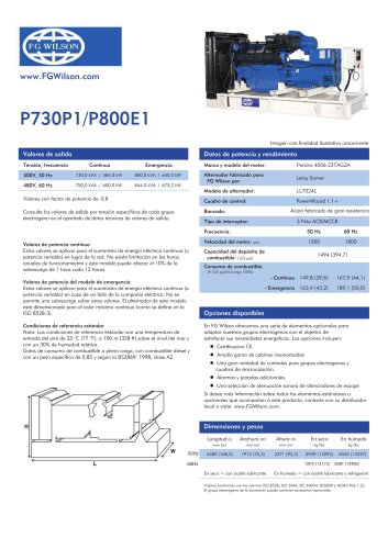 P730P1-P800E1 (730-844 kVA) Open Generator Set