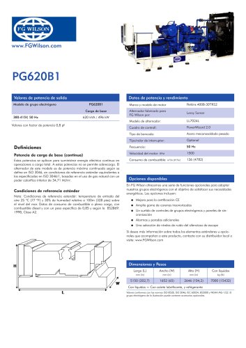 PG620B1 Gas Generator Set