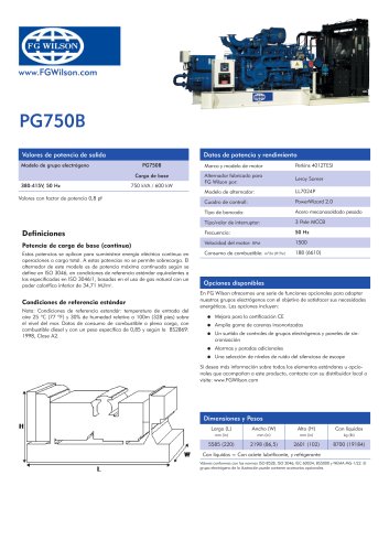 PG750B Gas generator set