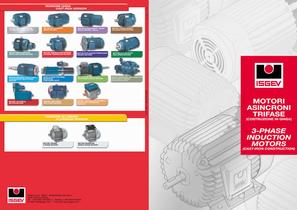 3 Phase induction motor - 1