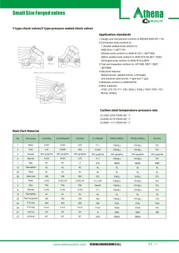 Y type check valve CHV-y type