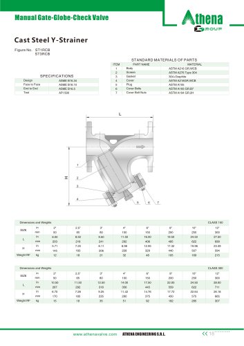 Y type strainer cast steel ST-YCST