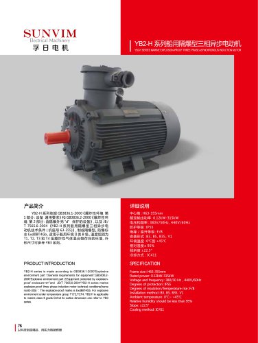 Three-phase motor YB2-H series