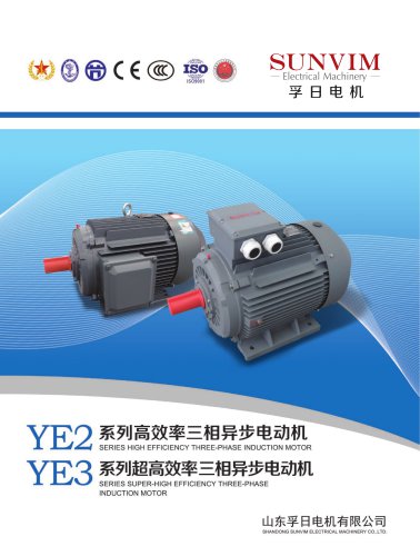 Three-phase motor YE2 series