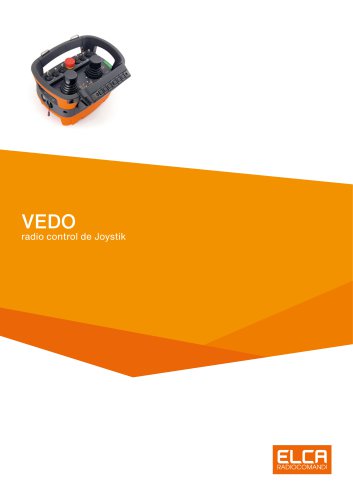 VEDO radio control de Joystik